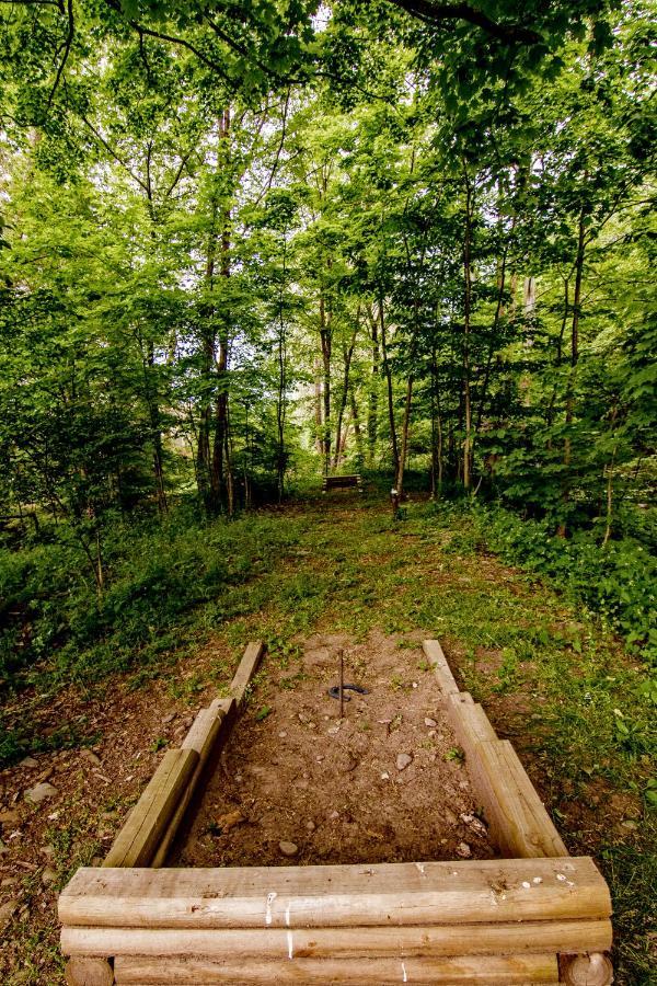 تانيرسفيل Cabin By The Creek With Private Creek Access المظهر الخارجي الصورة
