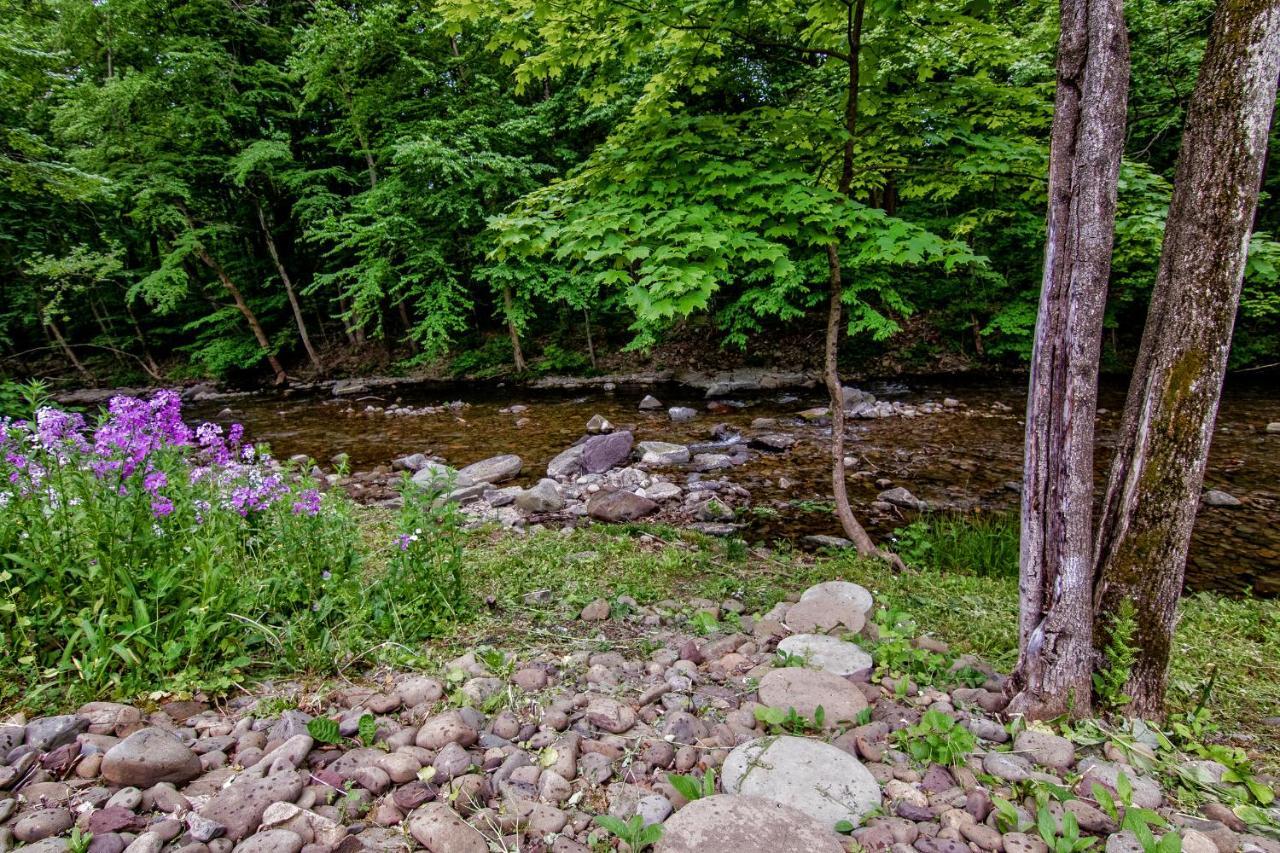 تانيرسفيل Cabin By The Creek With Private Creek Access المظهر الخارجي الصورة